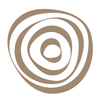 פיתוח צוות בארגונים