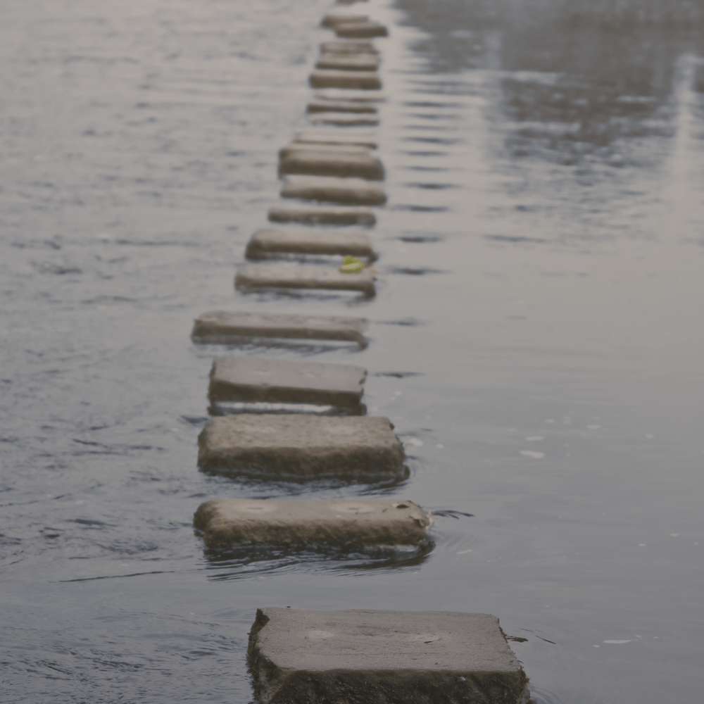 סדנאות מיינדפולנס