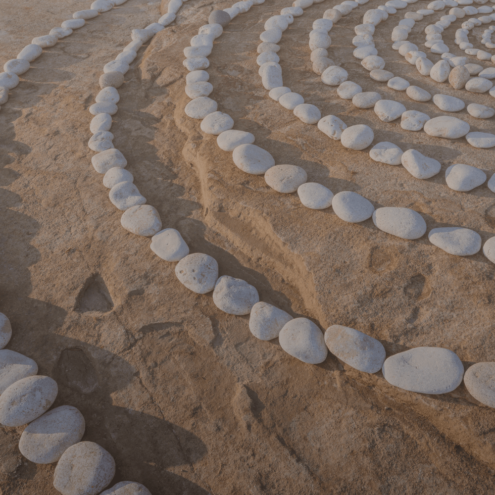 מערכת החינוך