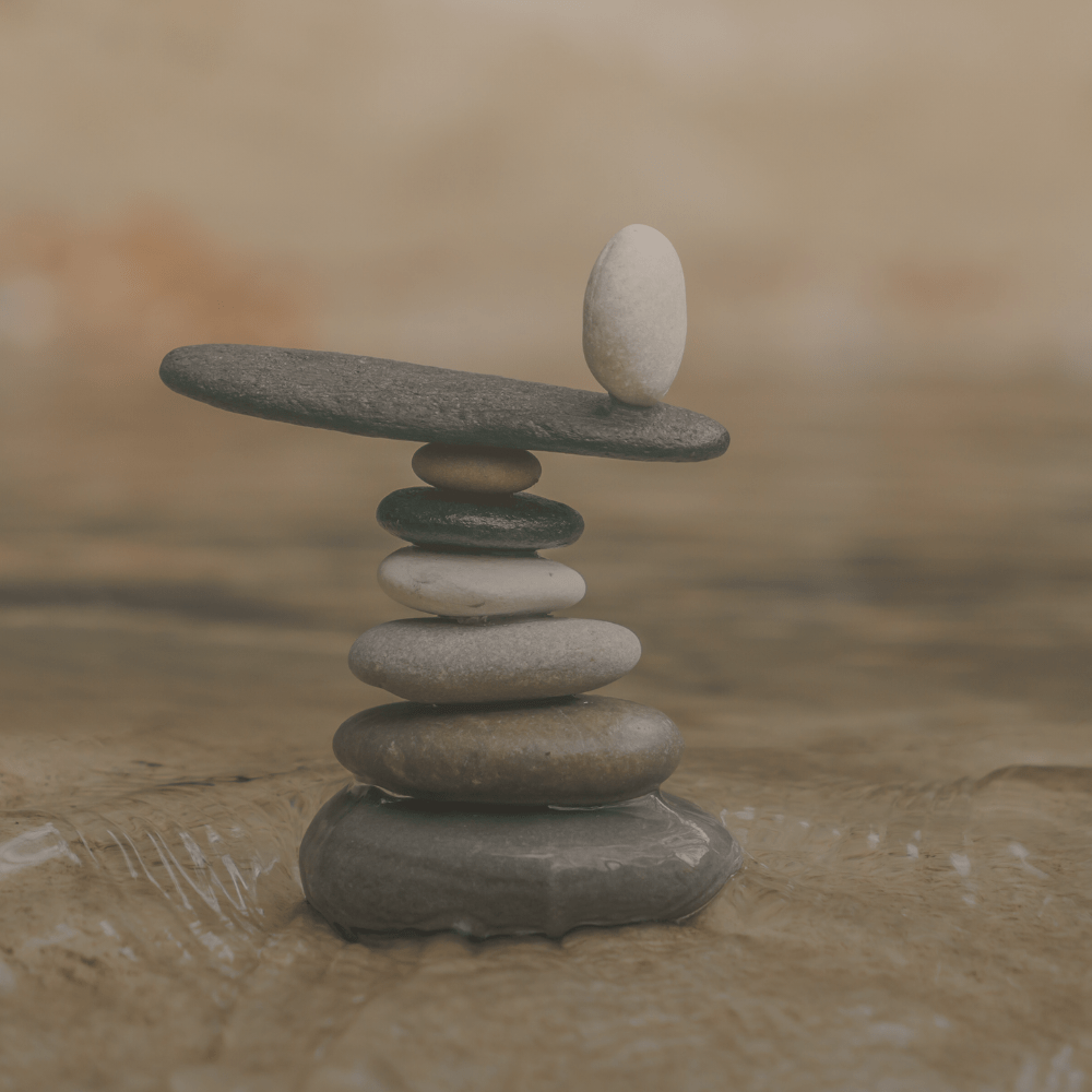 פיתוח צוות בארגונים